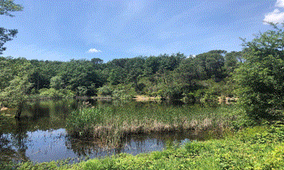 SABATO 11/10 25: Trekking LA ROMOLA – CERBAIA